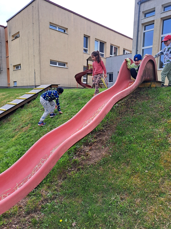 Veverky si hrají na školní zahradě