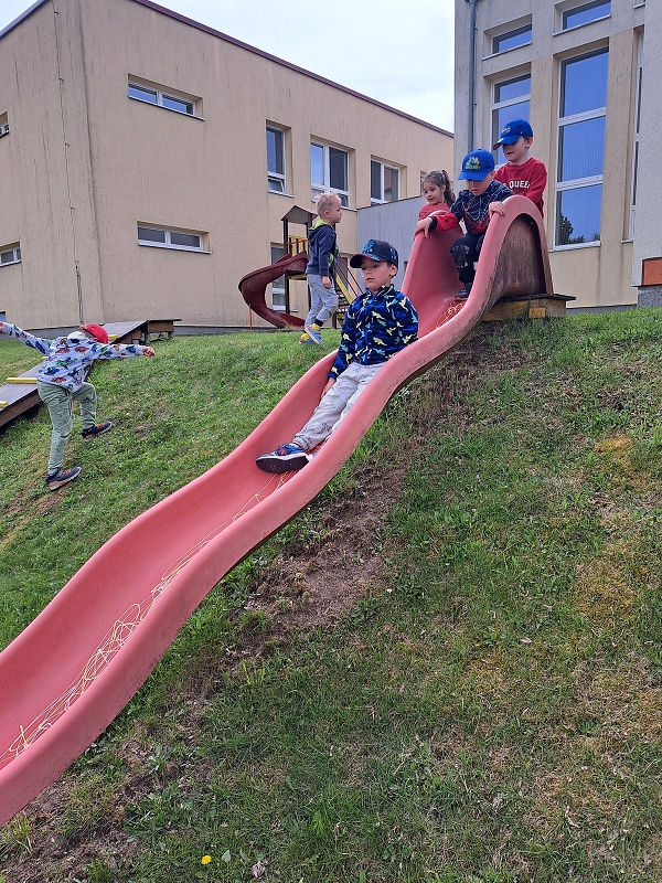 Veverky si hrají na školní zahradě