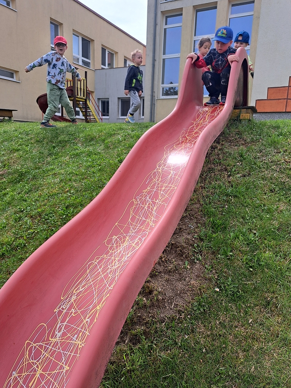 Veverky si hrají na školní zahradě
