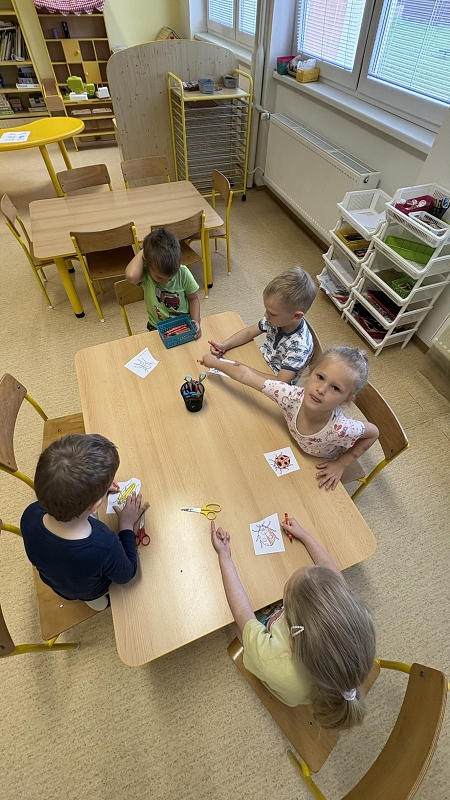 Kočičky a téma život v trávě
