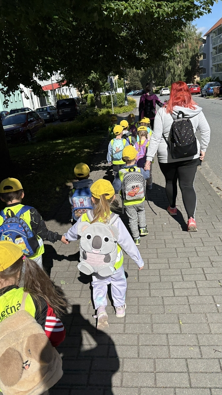 Kočičky na výletě
