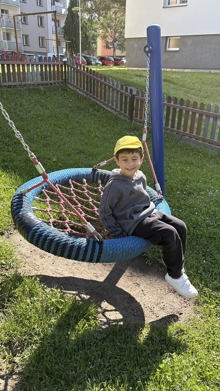 Kočičky na výletě