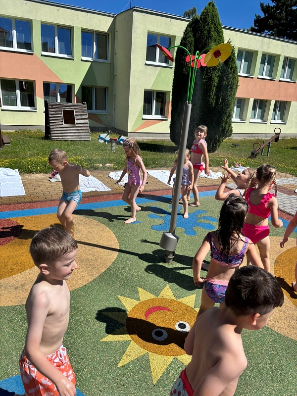 Kočičky se mlhují